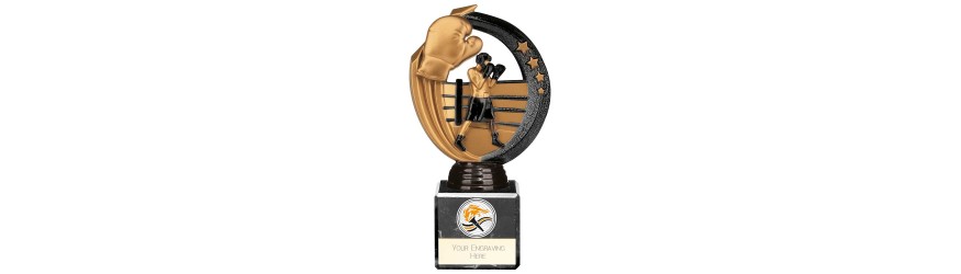RENEGADE II BOXING LEGEND RESIN TROPHY - 5 SIZES - 14.5CM - 22.5CM RENEGADE II BOXING LEGEND RESIN TROPHY - 5 SIZES - 14.5CM - 22.5CM